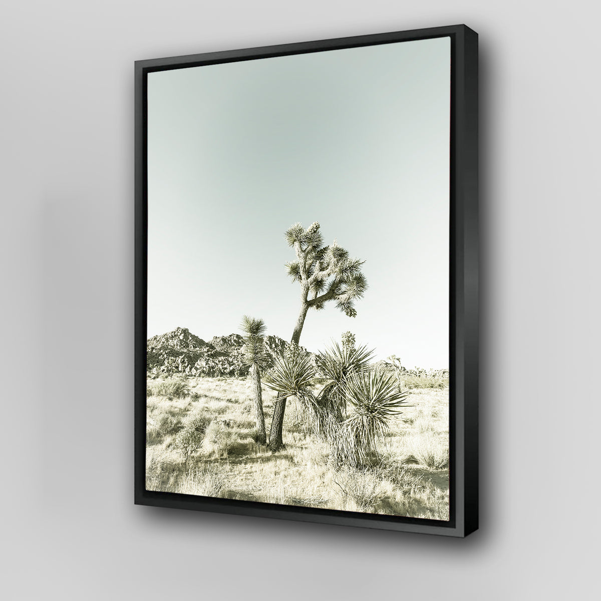 Joshua Tree National Park Vintage Wall Art