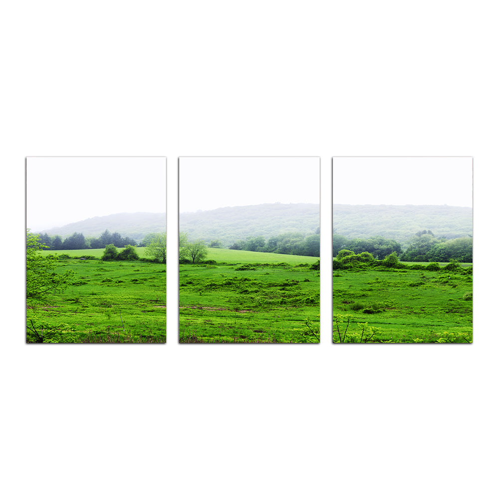 Tarrywile Park Wall Art