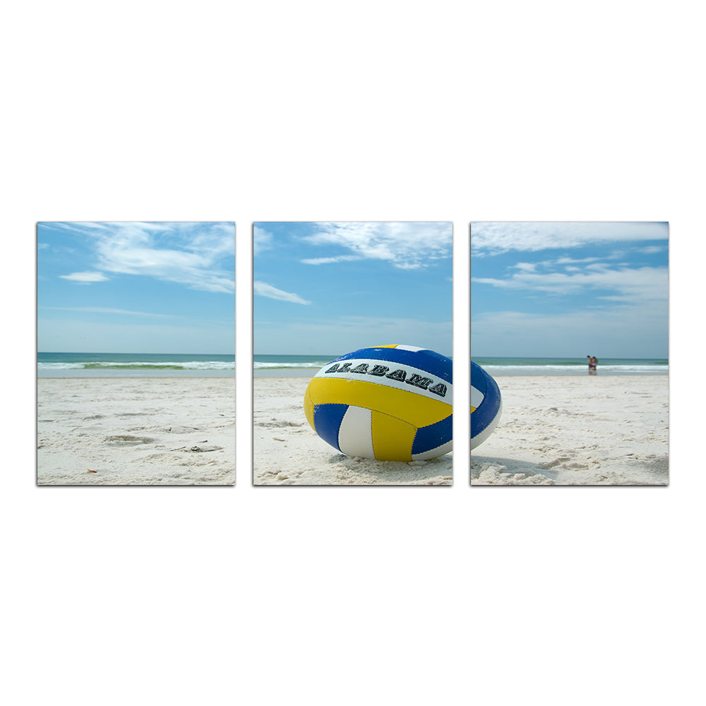 Volleyball on the Beach at Gulf State Park Wall Art