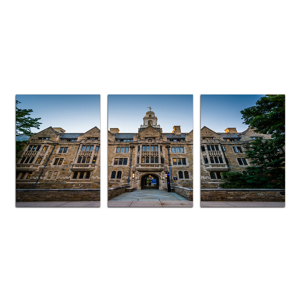 The Davenport College Building Wall Art