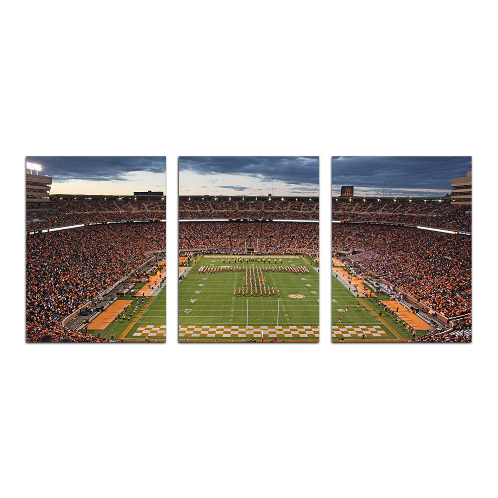 Neyland Stadium Wall Art