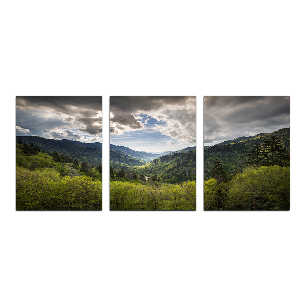 Great Smoky Mountains National Park Wall Art