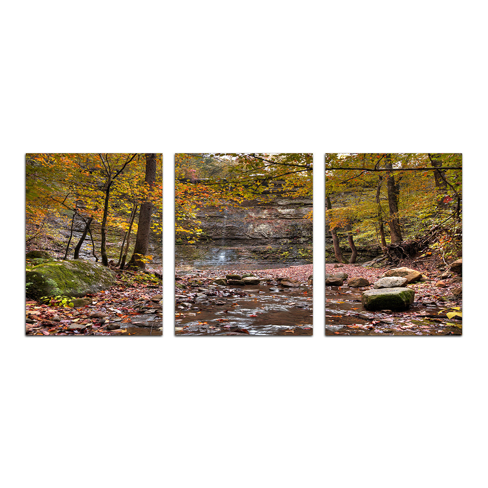Twin Falls Autumn Wall Art