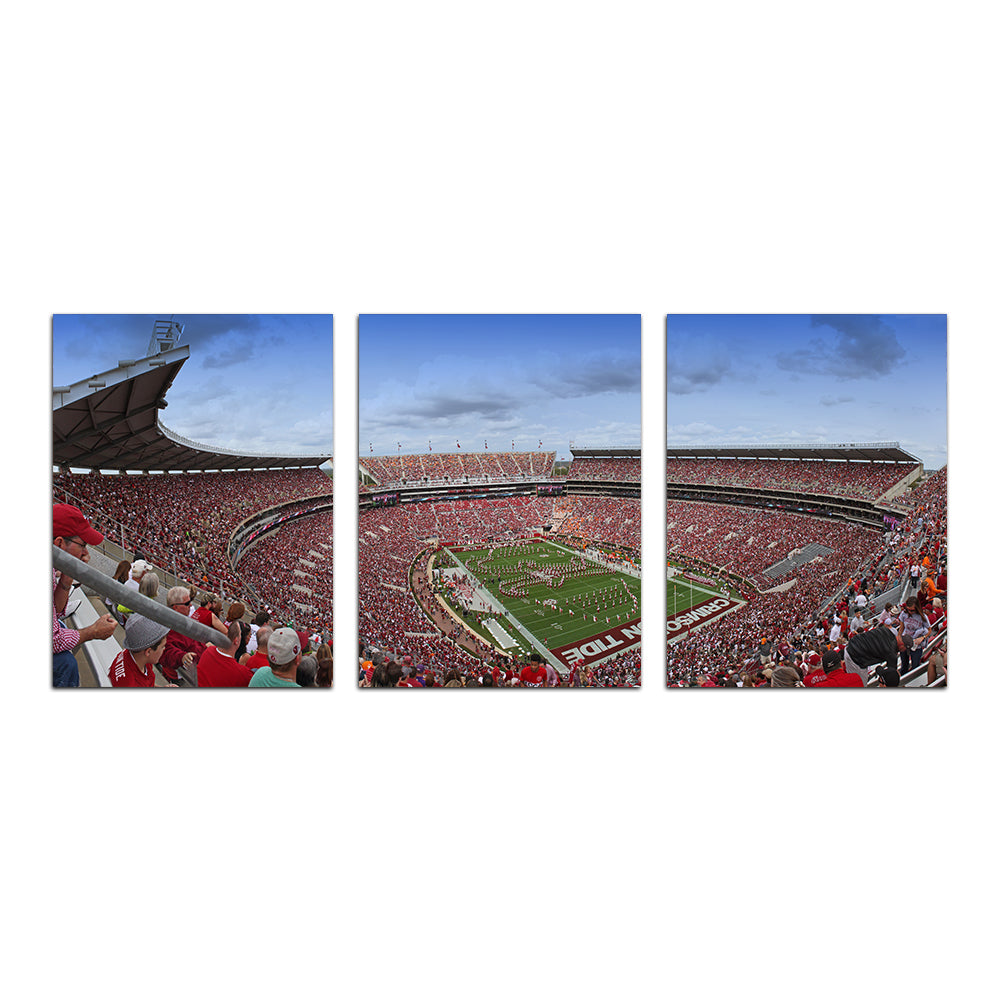 Bryant Denny Stadium Wall Art