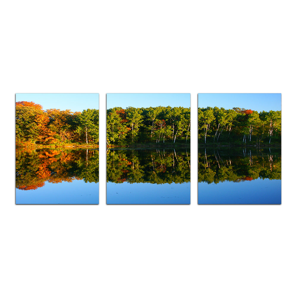 Kettle Moraine State Forest Wall Art