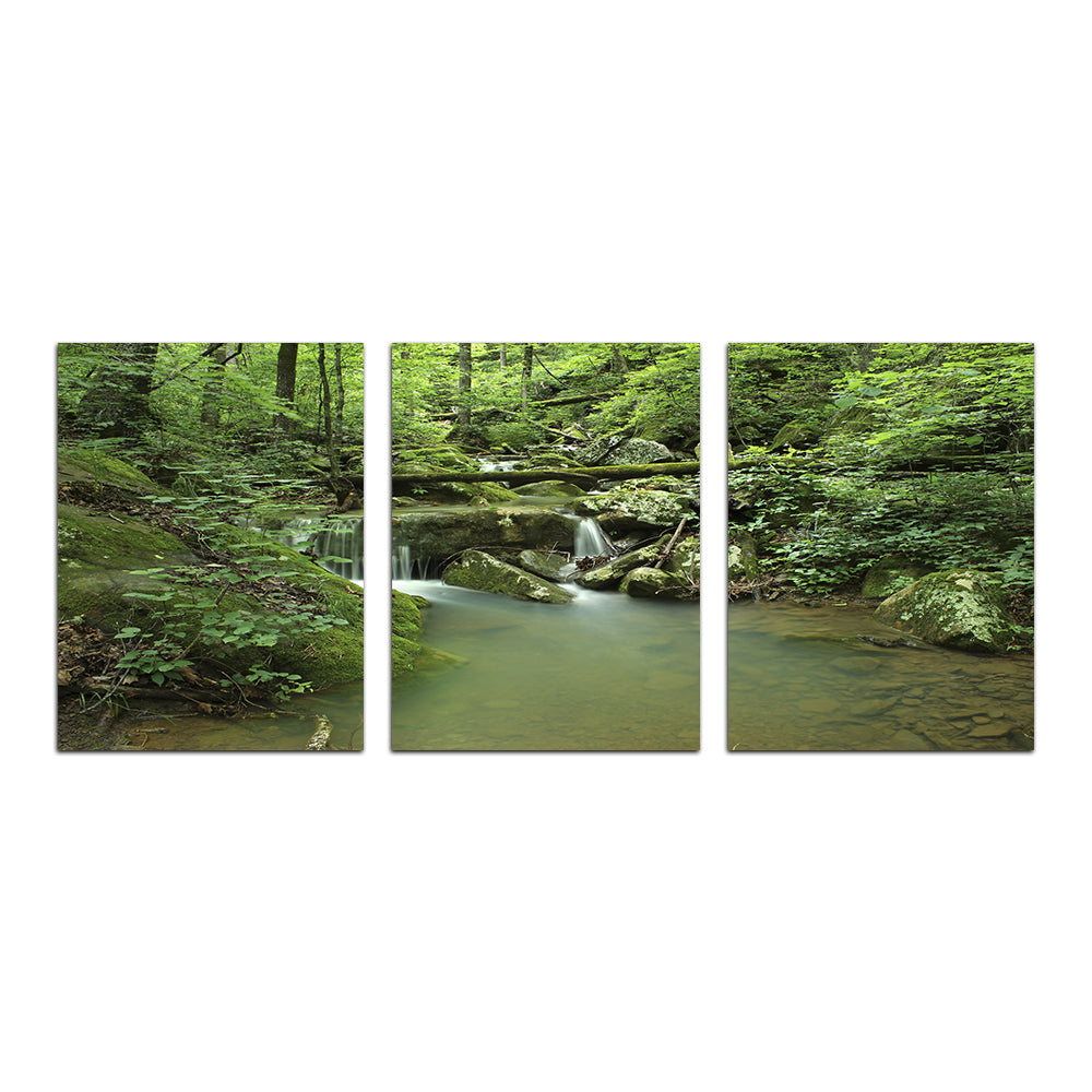 Ozark National Forest Wall Art