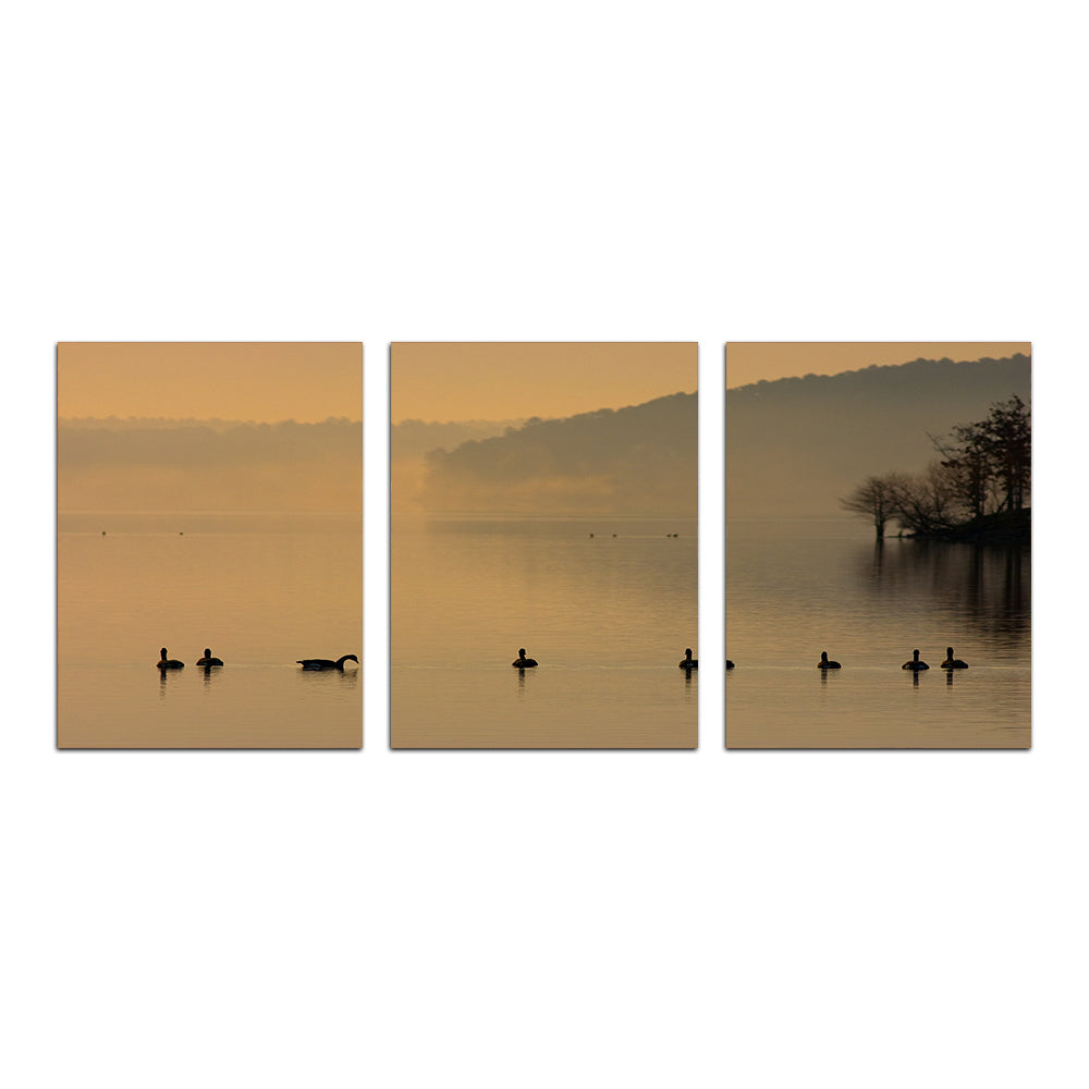 Geese on Lake Degray