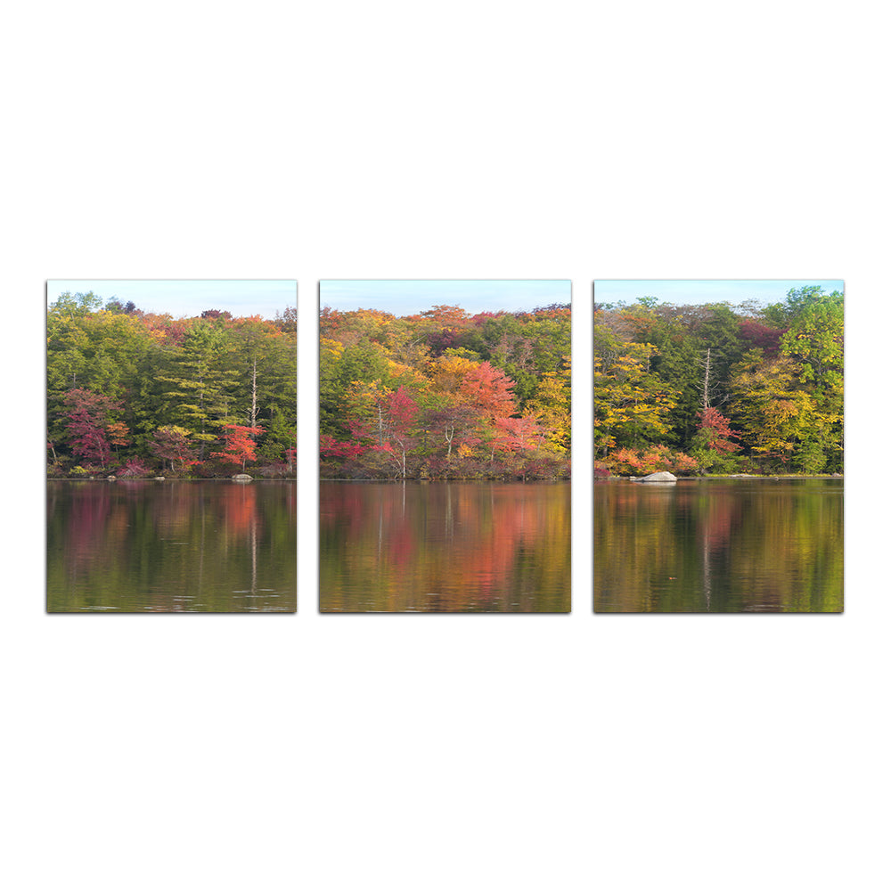Burr Pond State Park Wall Art