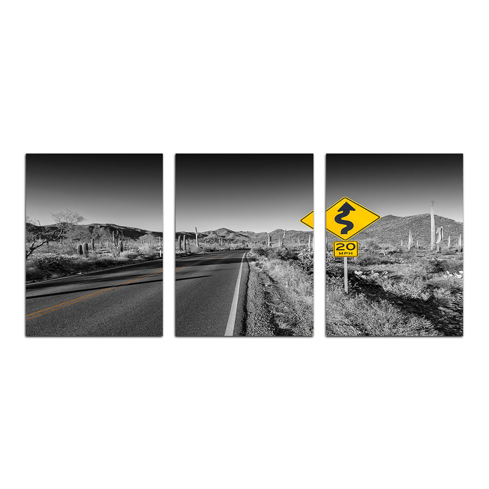 Saguaro National Park Bajada Loop Drive Wall Art