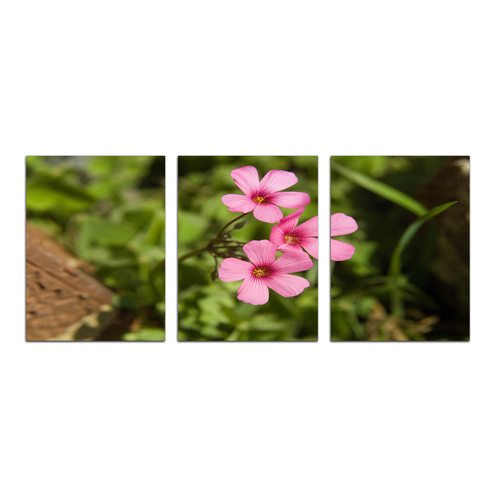 Purple Wildflower - North Arkansas Wall Art