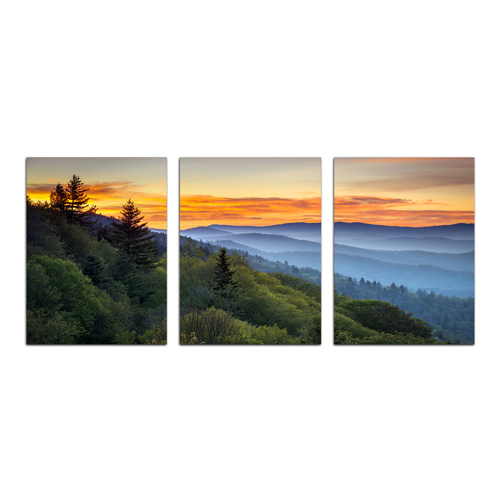 Great Smoky Mountains Wall Art