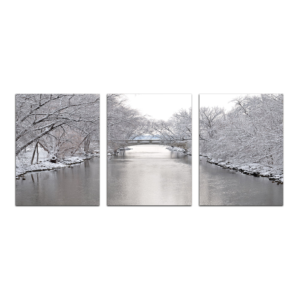Yahara River In Madison Winter Wall Art