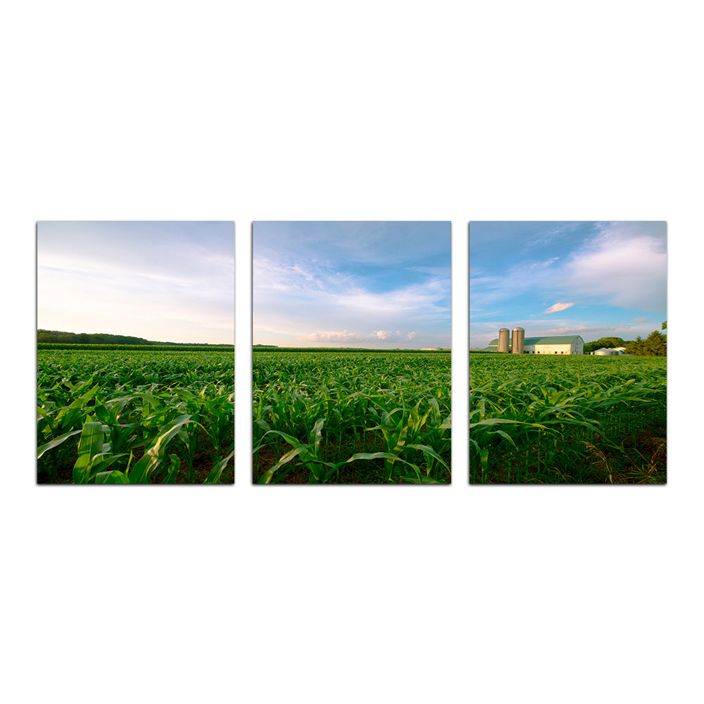 Wisconsin Dairy Farm By Field Of Corn Wall Art