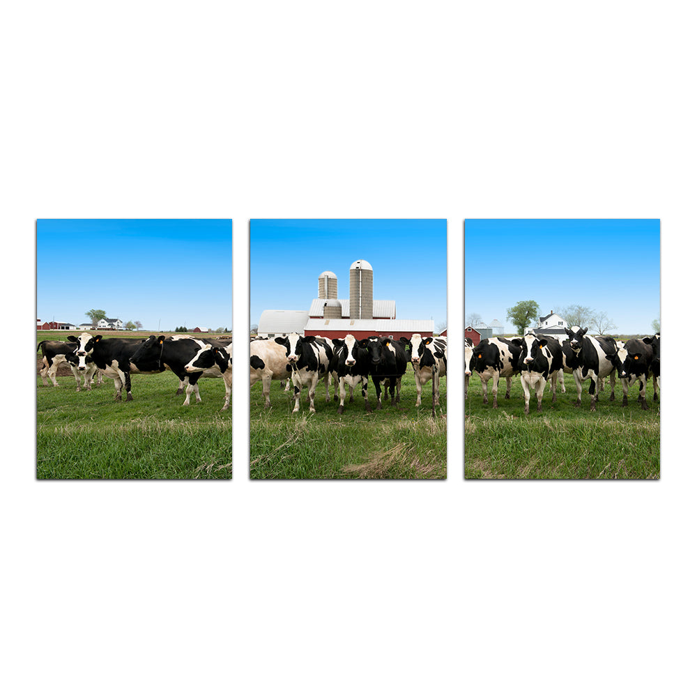 Wisconsin Dairy Cows Wall Art