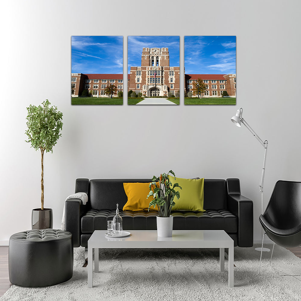 The Hill At The University Of Tennessee Wall Art