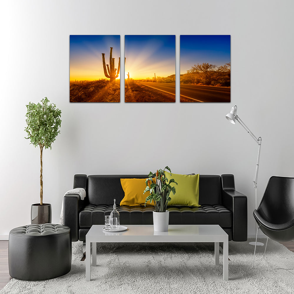 Saguaro National Park Setting Sun Wall Art