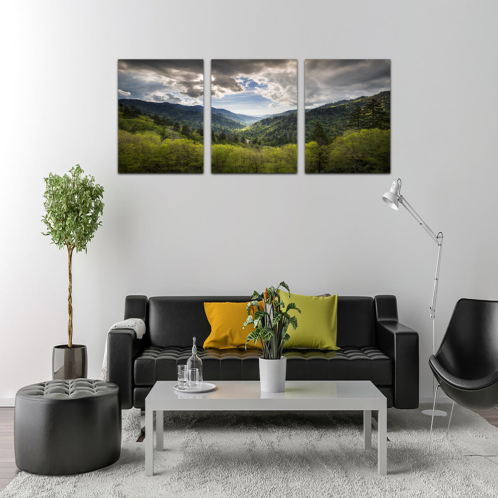 Great Smoky Mountains National Park Wall Art