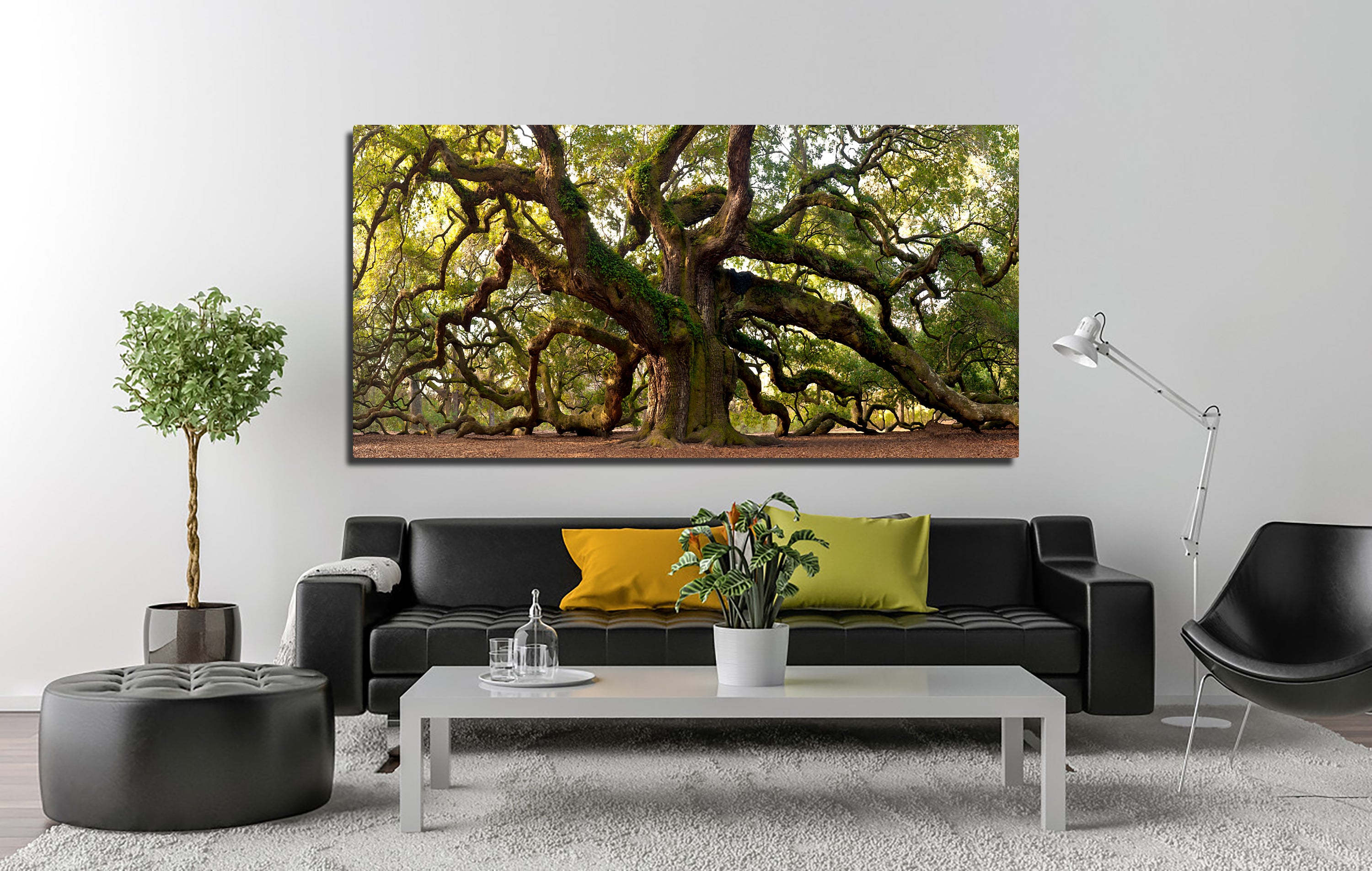 Charleston Angel Oak Panoramic Wall Art