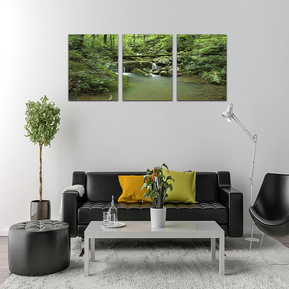 Ozark National Forest Wall Art