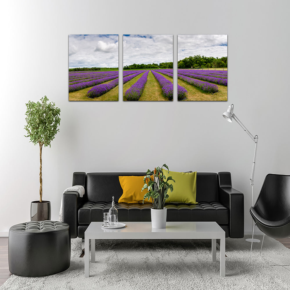 Lavender Rose Door County Wall Art