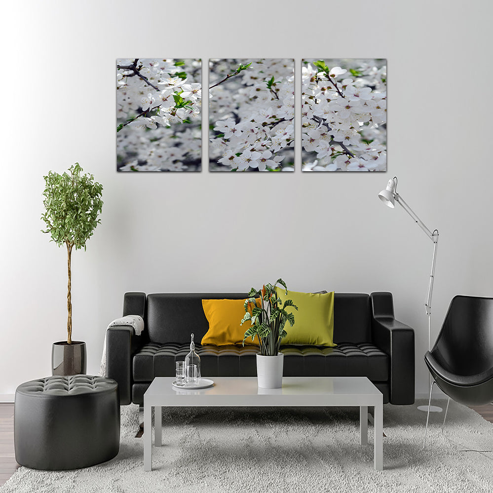 Apple Tree Blossoms Wall Art