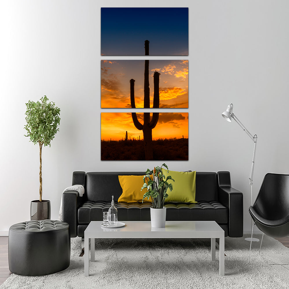 Saguaro National Park Sunset Wall Art