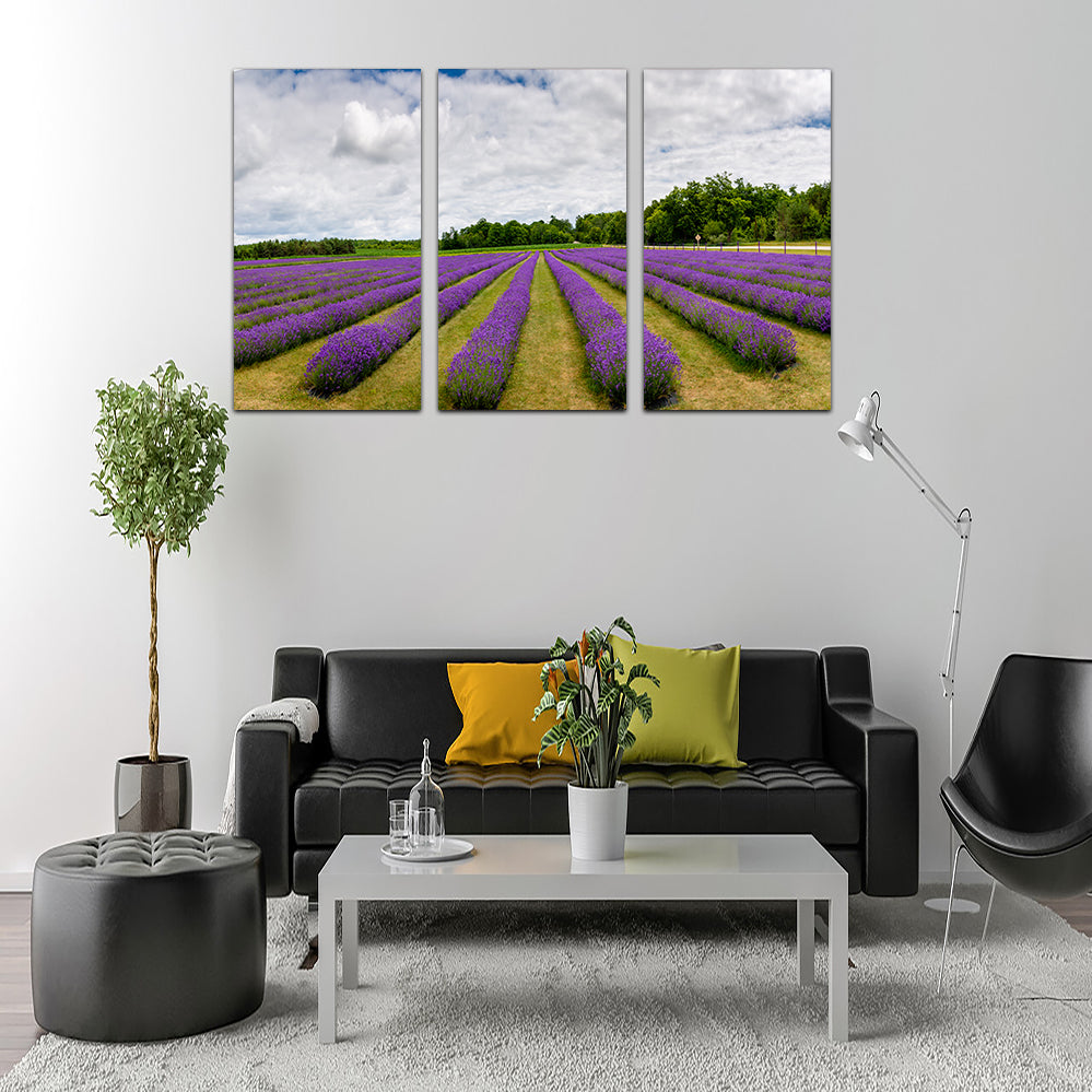 Lavender Rose Door County Wall Art