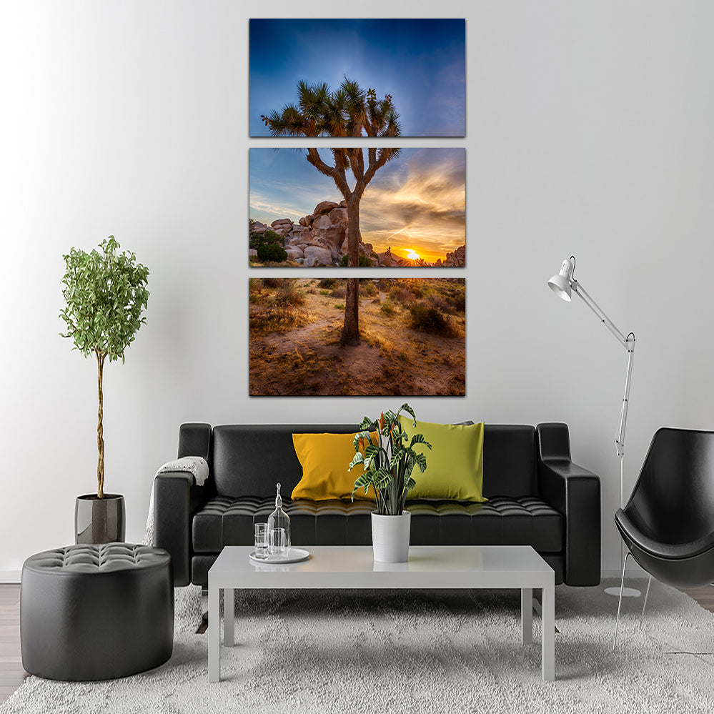 Joshua Tree National Park Wall Art