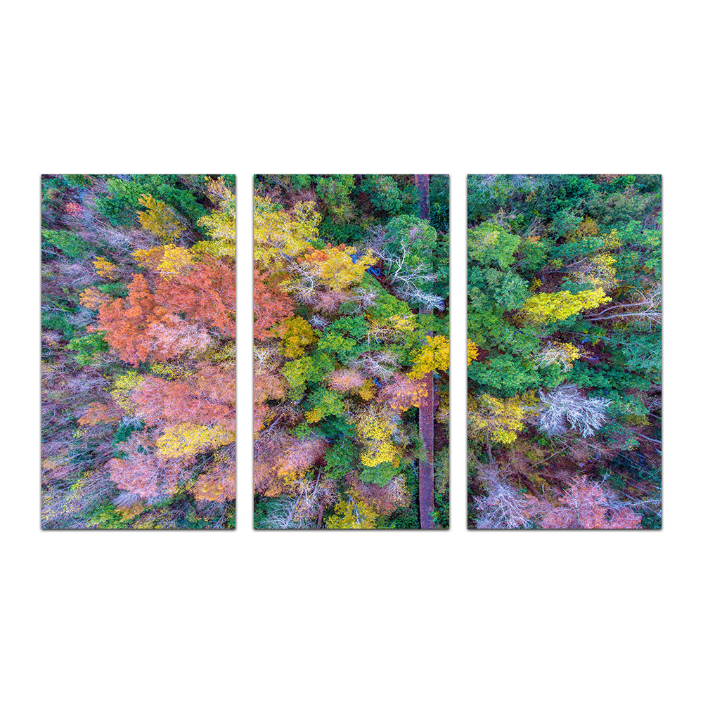 Bayfront Park Nature Boardwalk From Above Wall Art
