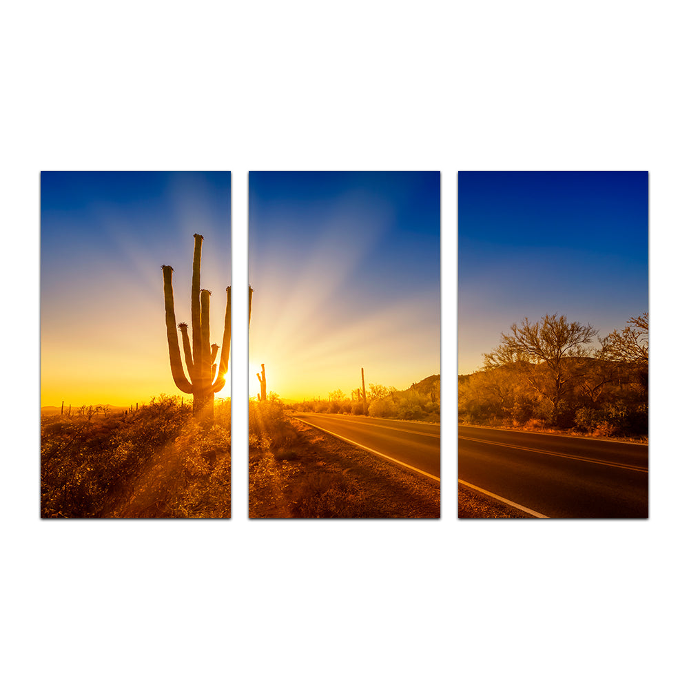 Saguaro National Park Setting Sun Wall Art