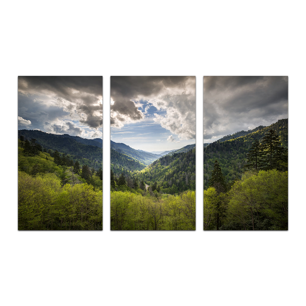 Great Smoky Mountains National Park Wall Art