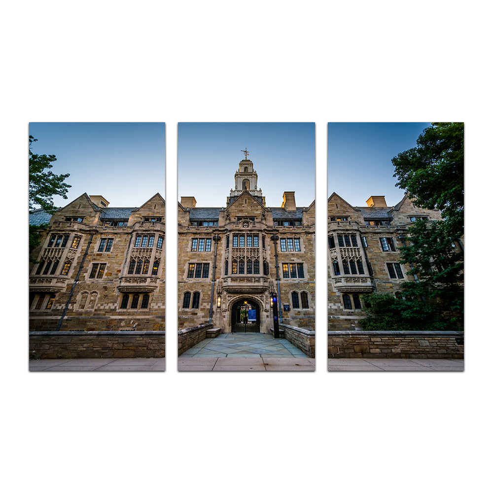 The Davenport College Building Wall Art