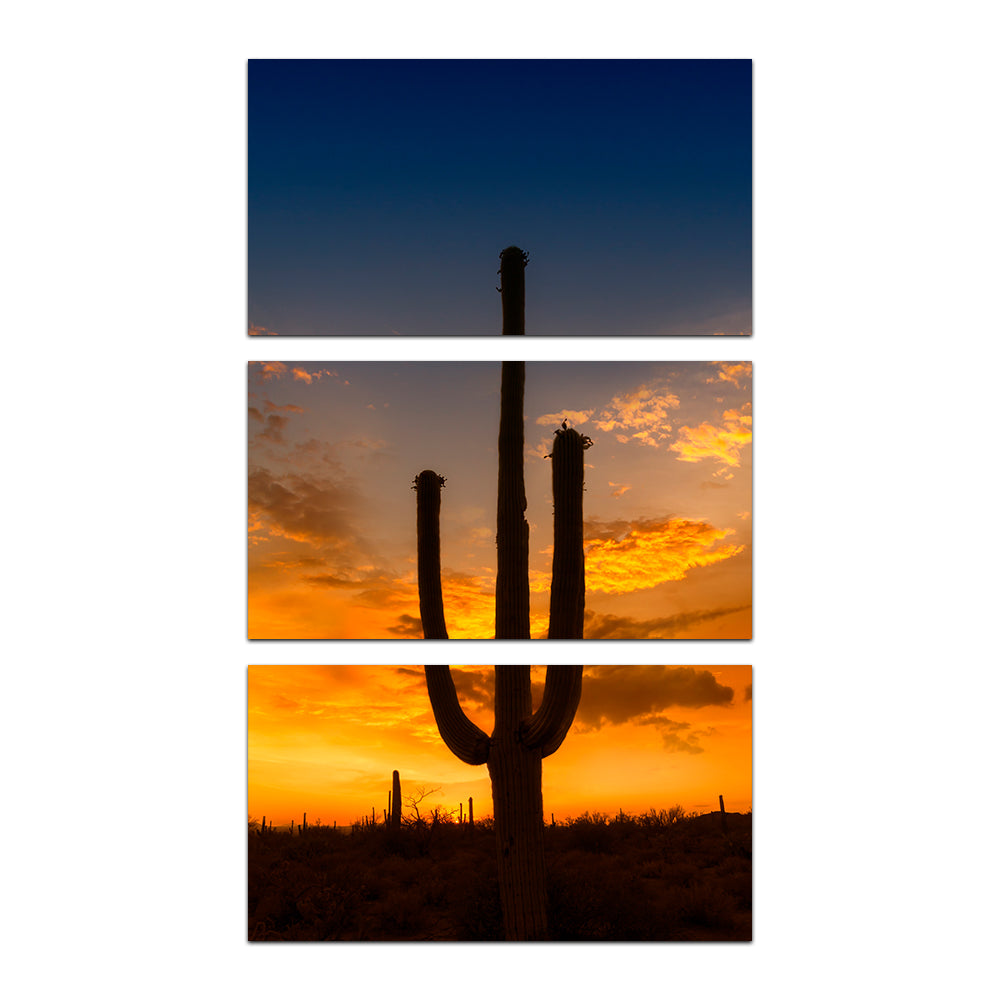 Saguaro National Park Sunset Wall Art