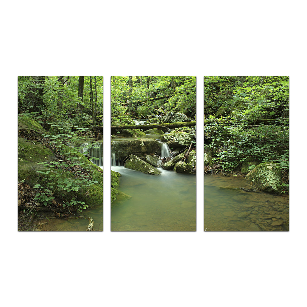 Ozark National Forest Wall Art
