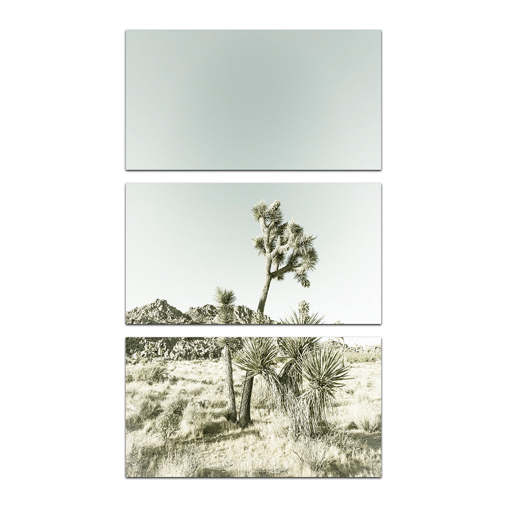 Joshua Tree National Park Vintage Wall Art