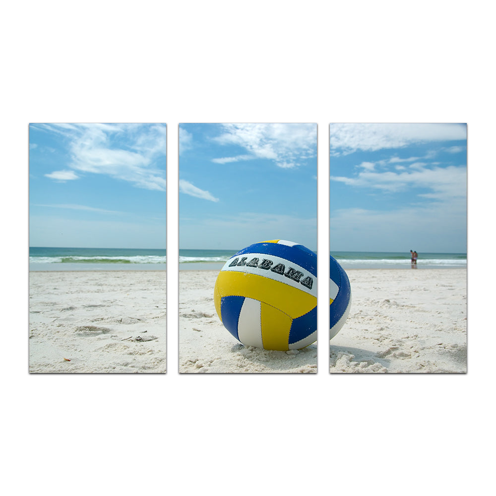 Volleyball on the Beach at Gulf State Park Wall Art