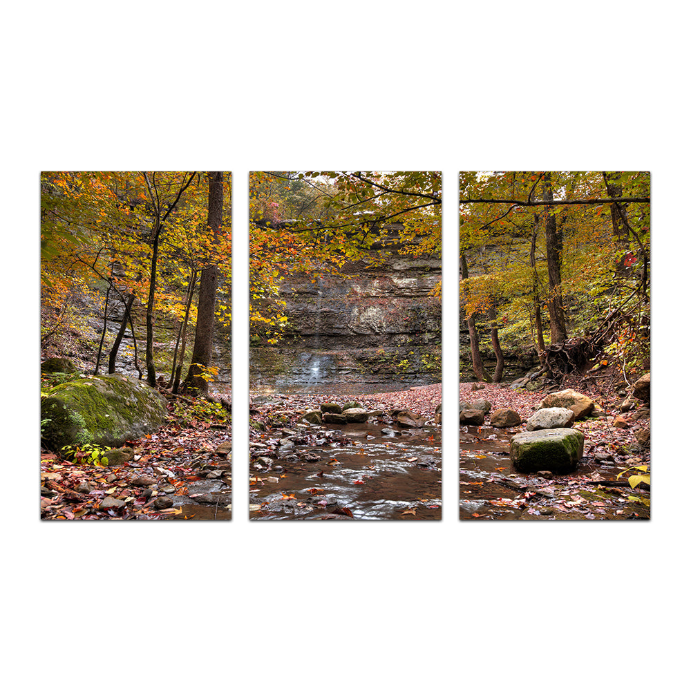 Twin Falls Autumn Wall Art
