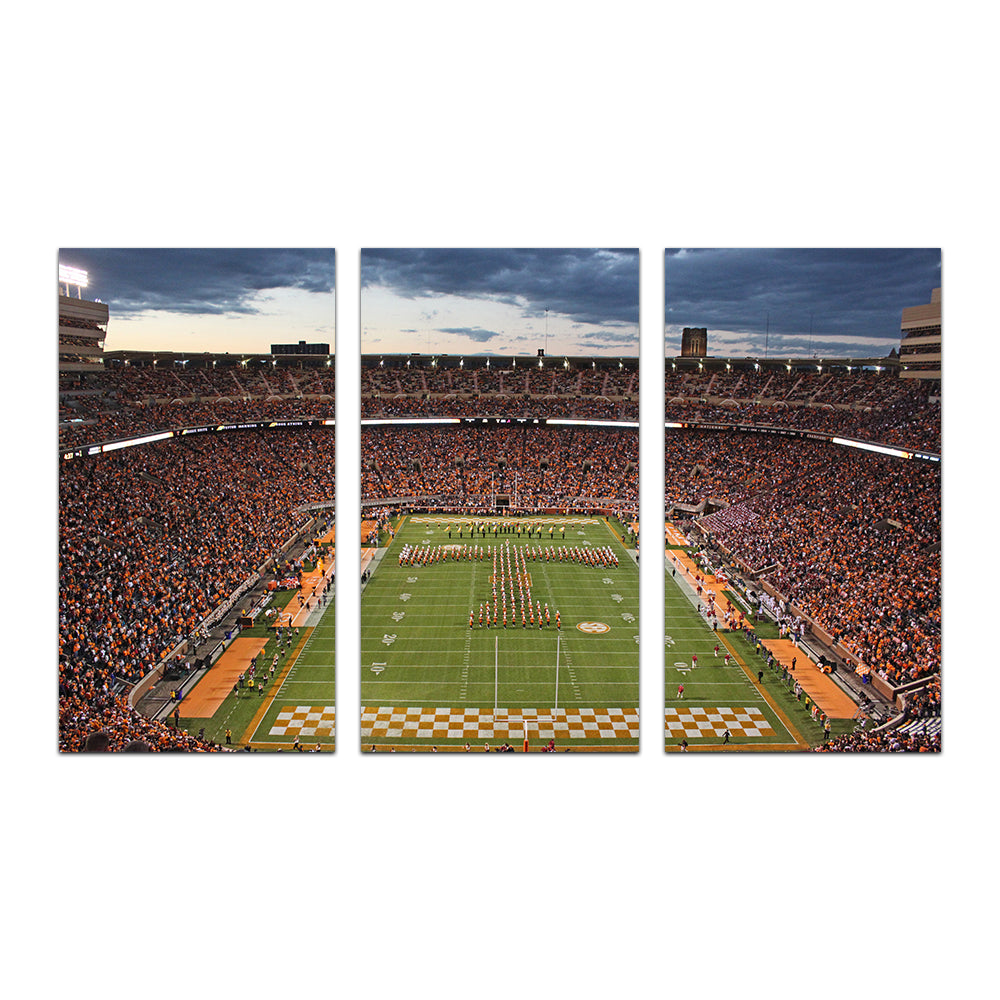 Neyland Stadium Wall Art