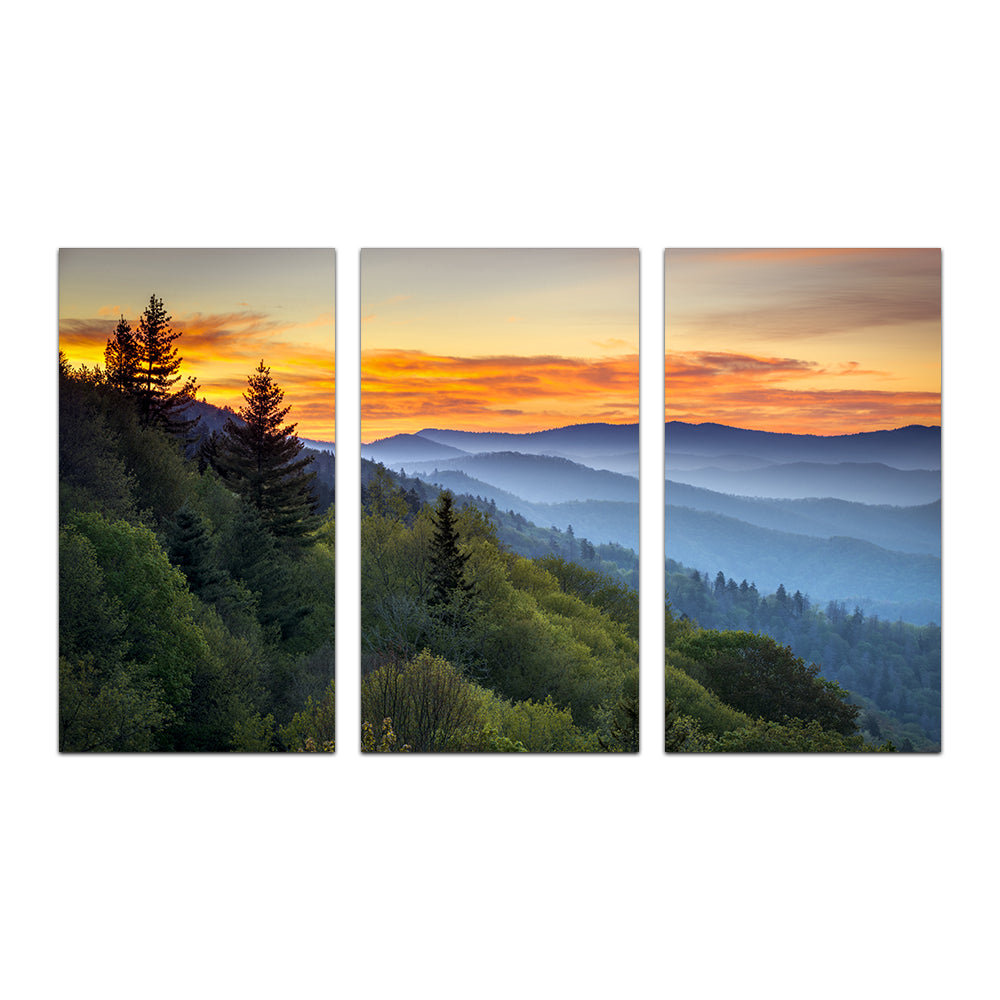 Great Smoky Mountains Wall Art