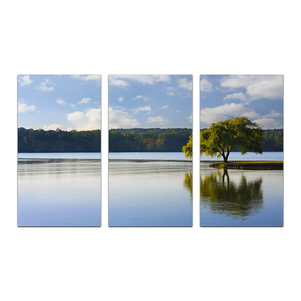 Willow Tree On The Tennessee River Wall Art