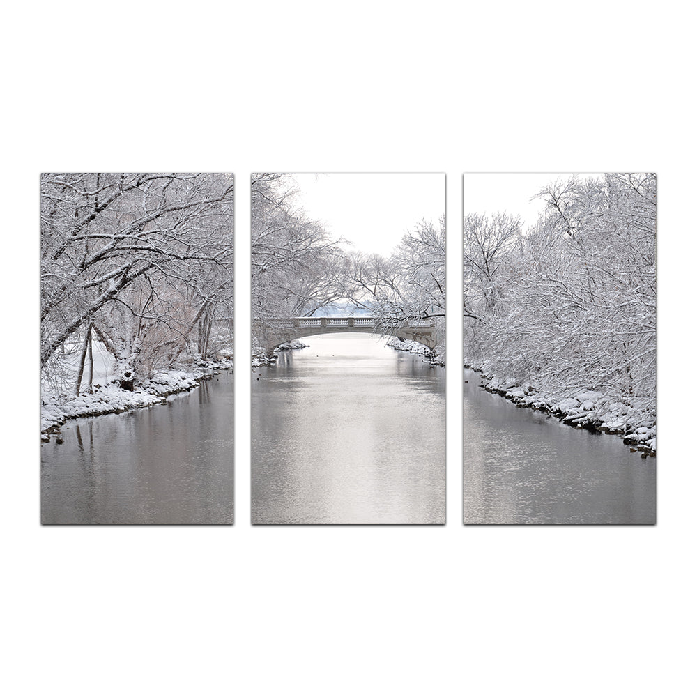 Yahara River In Madison Winter Wall Art