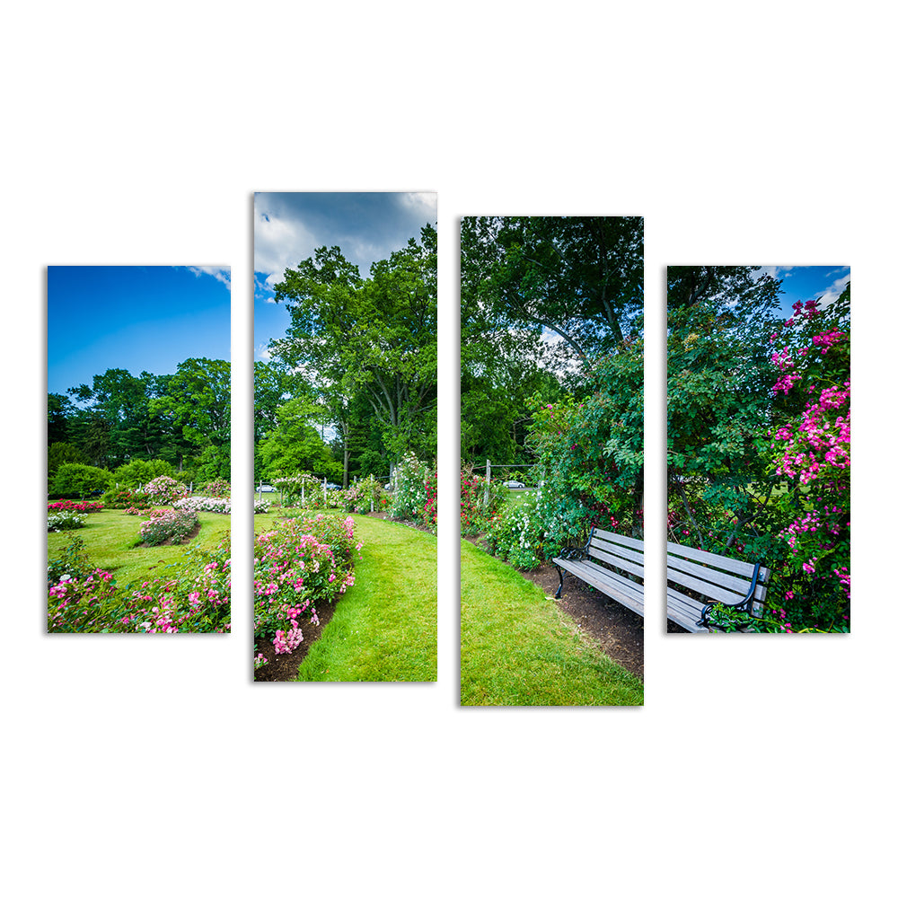 Elizabeth Park Wall Art