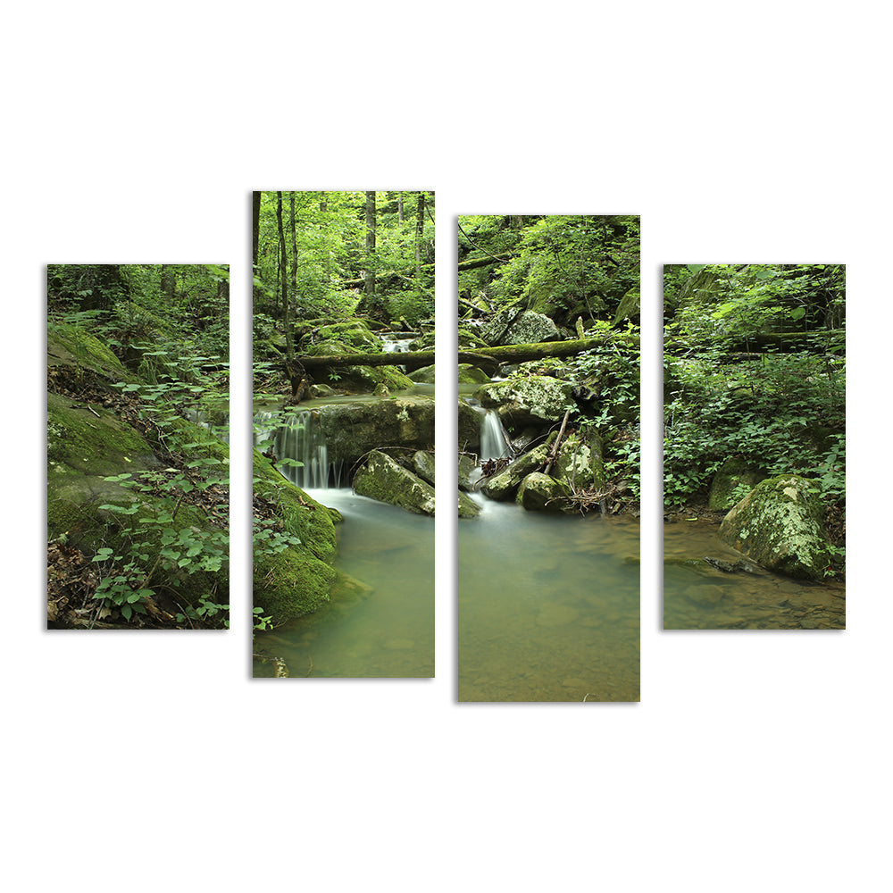 Ozark National Forest Wall Art