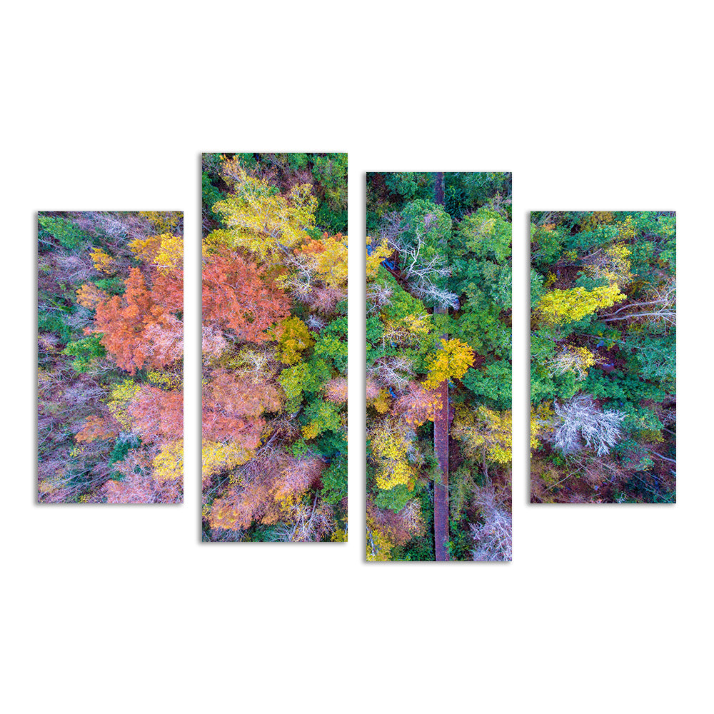 Bayfront Park Nature Boardwalk From Above Wall Art
