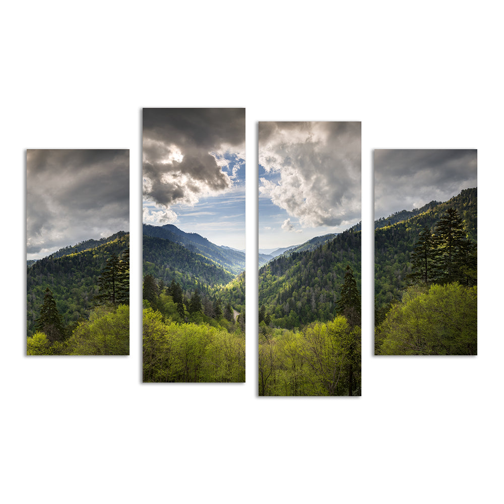 Great Smoky Mountains National Park Wall Art