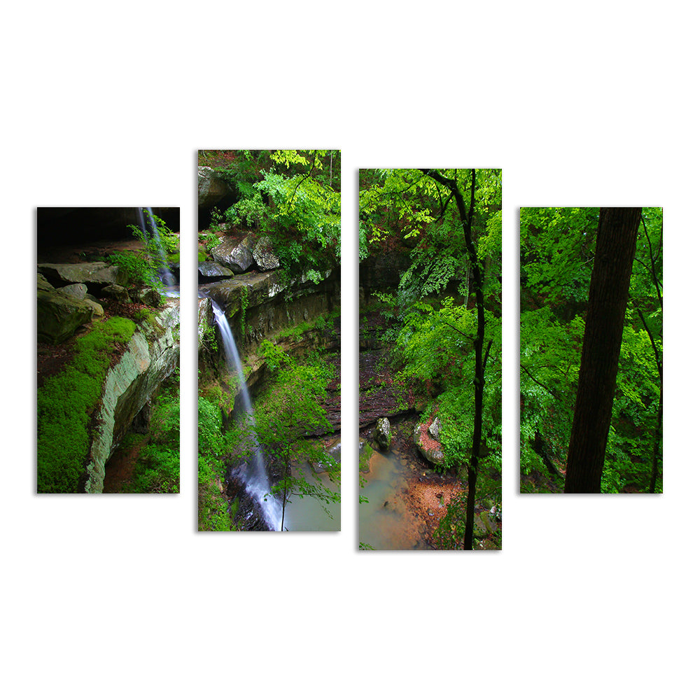 Bankhead National Forest Wall Art