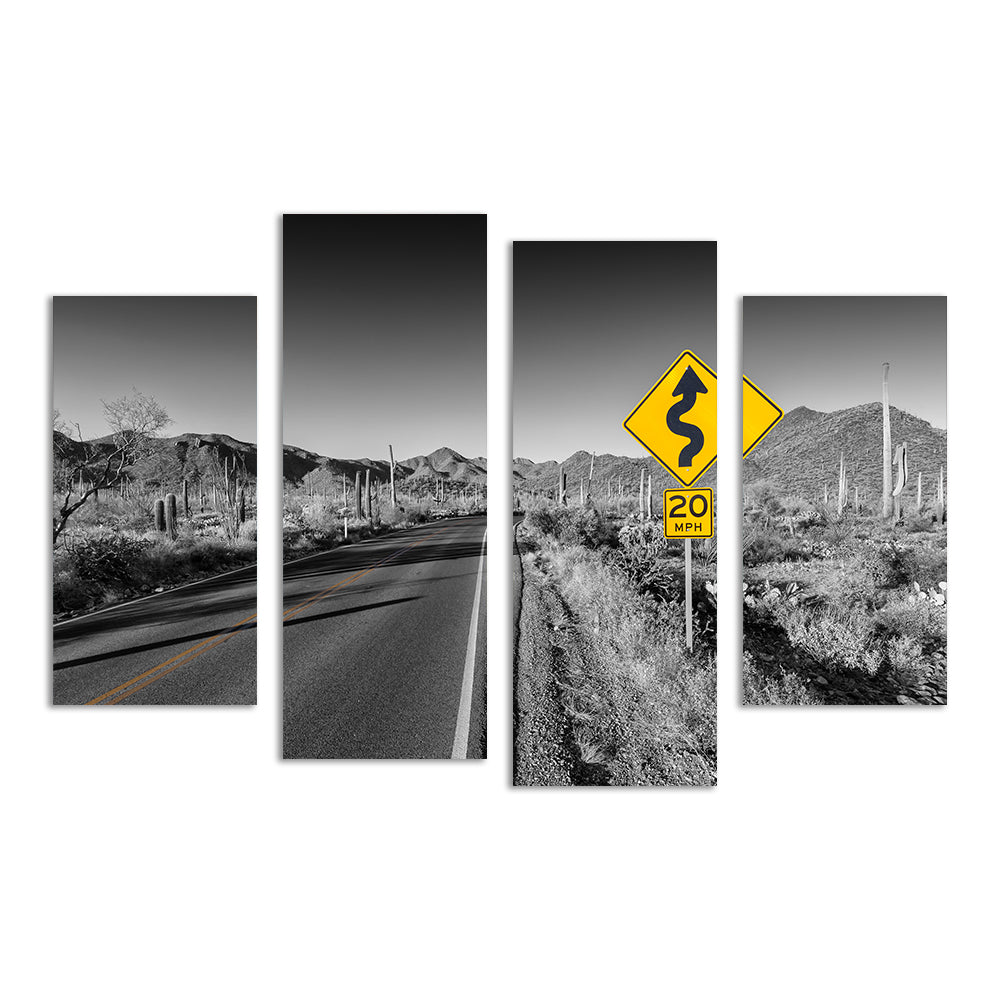 Saguaro National Park Bajada Loop Drive Wall Art