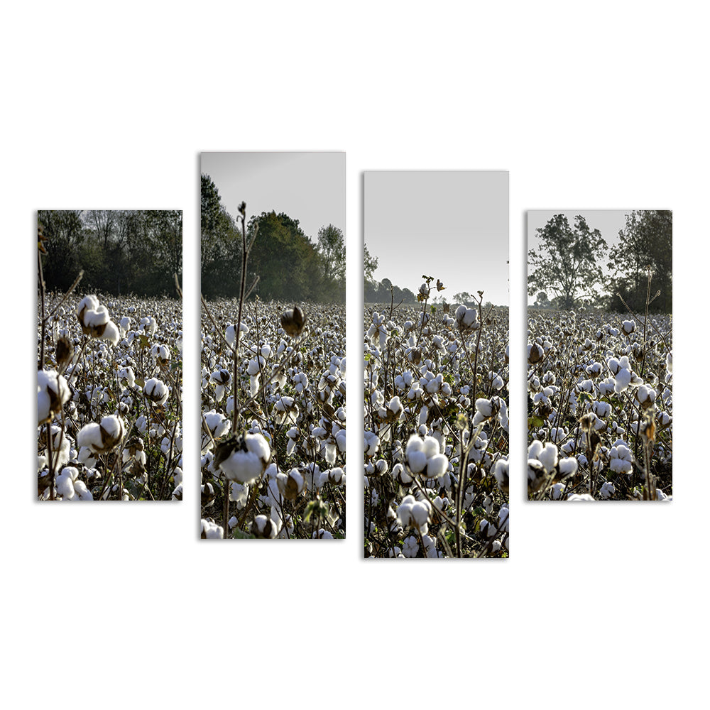 Alabama Cotton Field Wall Art
