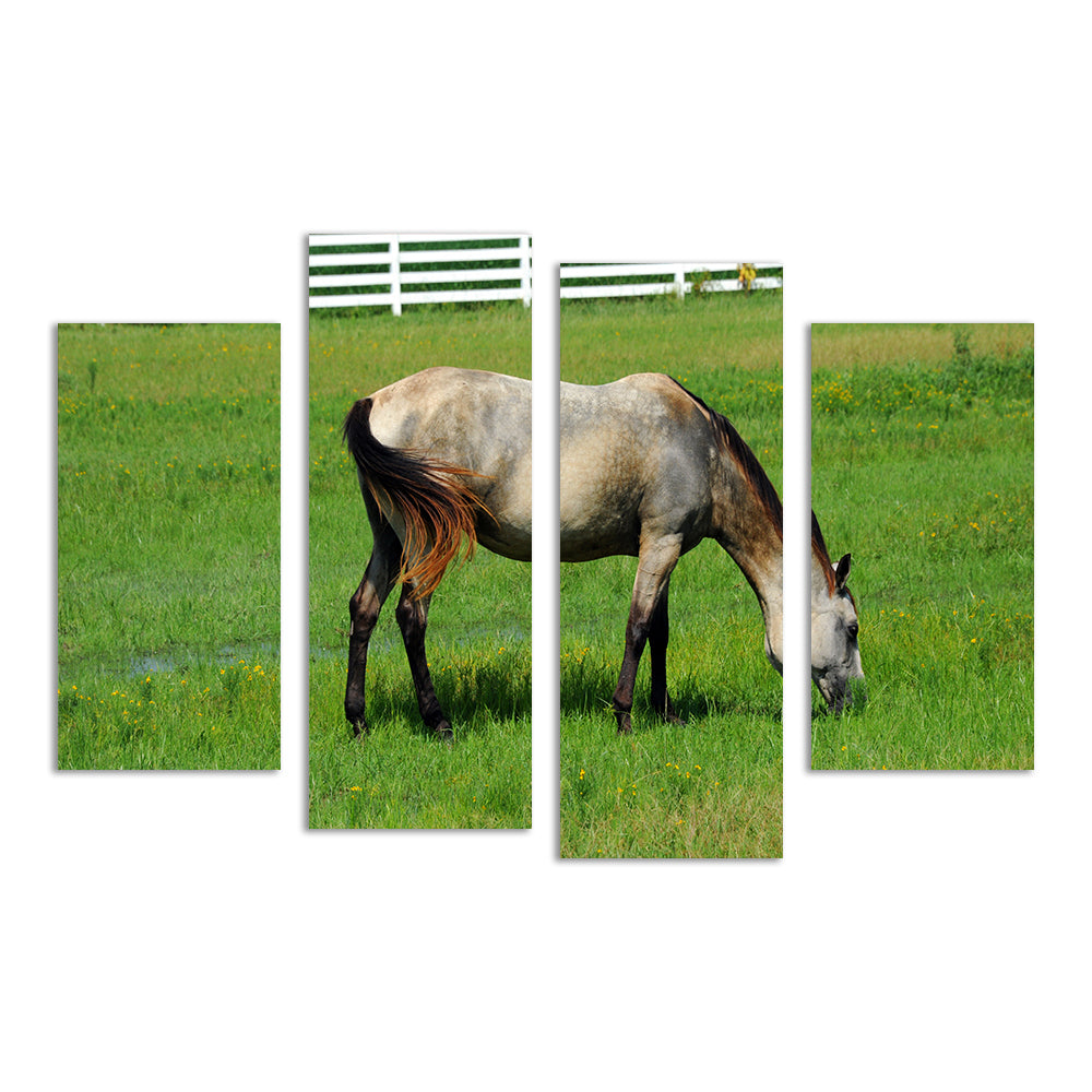 Arkansas Horse Grazing Wall Art