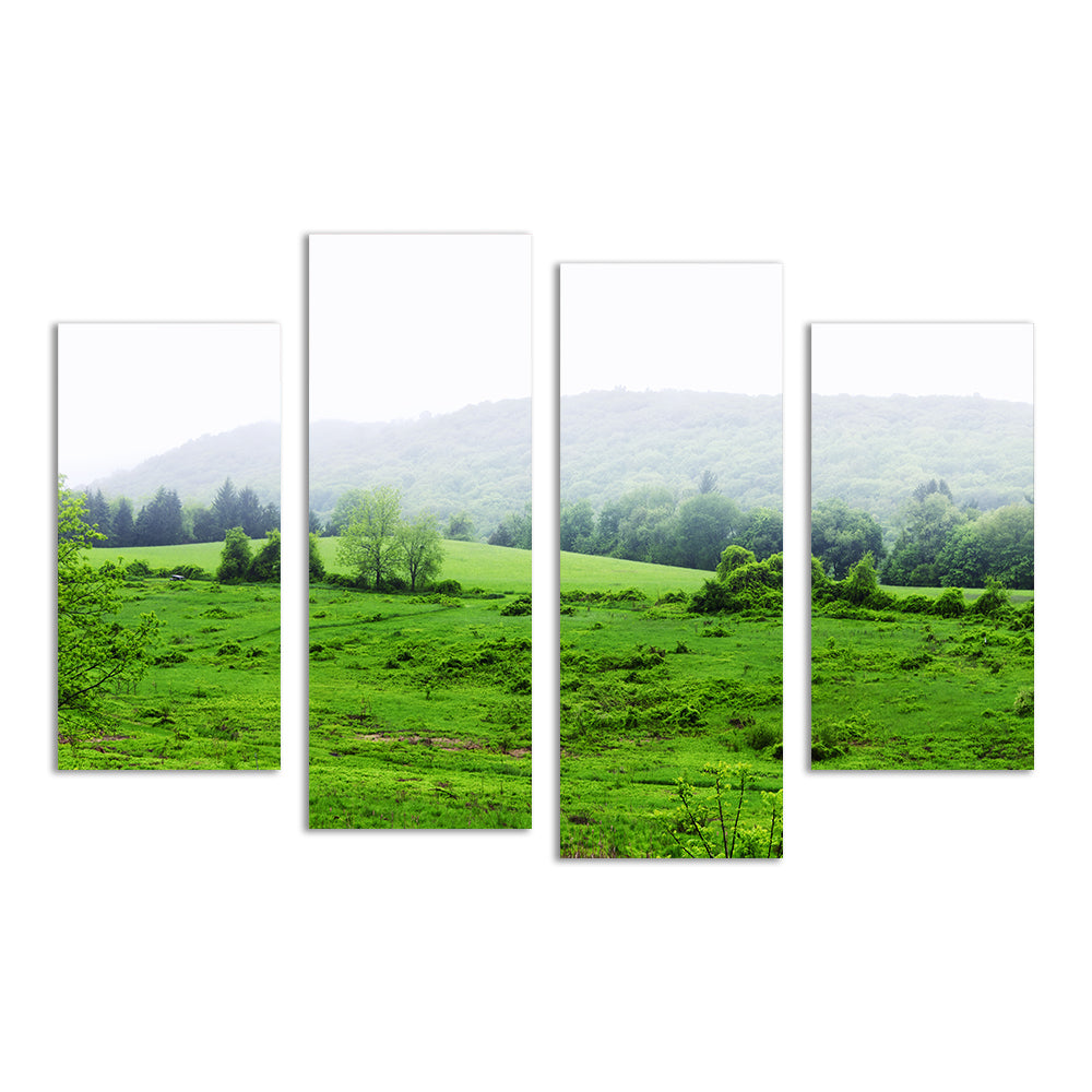 Tarrywile Park Wall Art